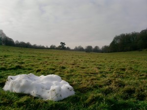 Last of the snow