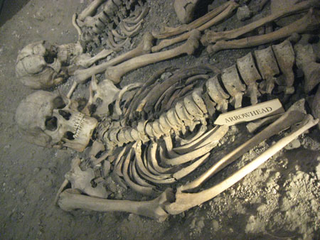 skeletons of britons killed by roman ballista bolt at maiden castle, dorset museum, dorchester