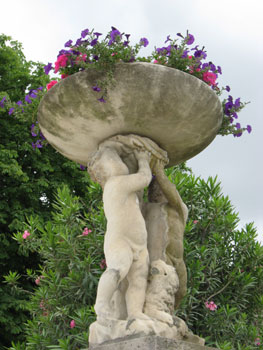 flowers in a planter, luxembourg gardens, paris