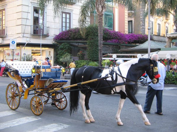 taxiinpiazzatasso.jpg