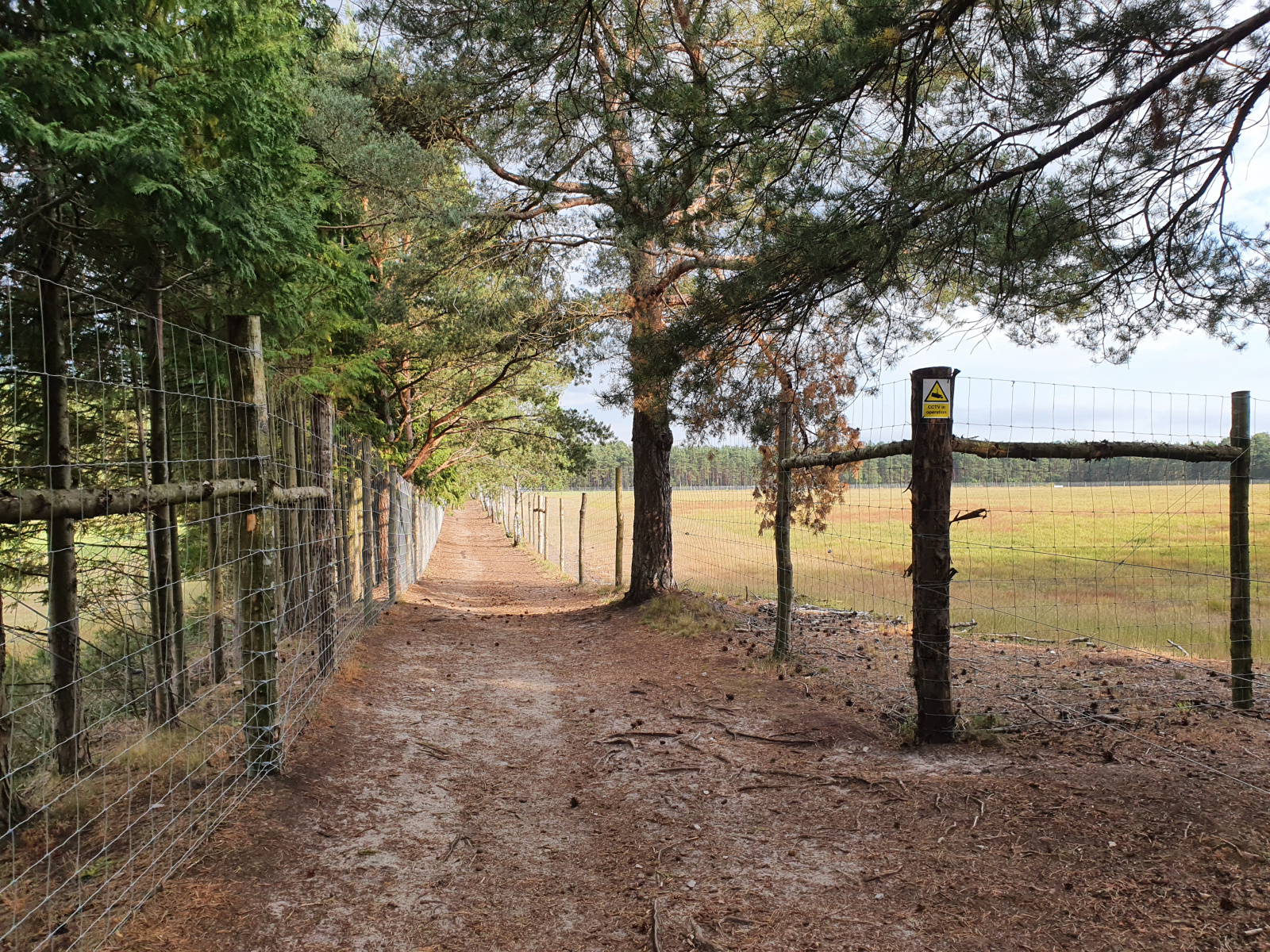 A view looking up the green corridor between fences